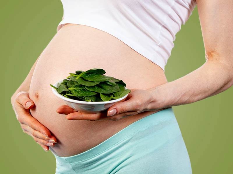 Doğurganlığı Arttıran 10 Mucizevi Yiyecek
