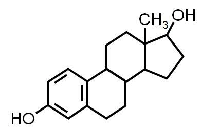 Estradiol Nedir? Estradiol Düşüklüğü ve Yüksekliği Anlamları