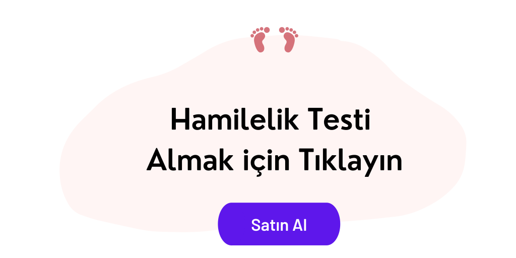 Gebelik Testi Nedir? Evde Hamilelik Testi Nasıl Yapılır?