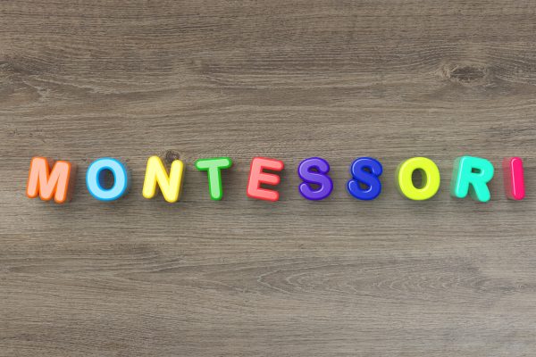 Montessori Eğitimi